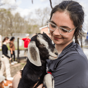 Girl wearing glasses holding a black and white goat, smiling at animal.